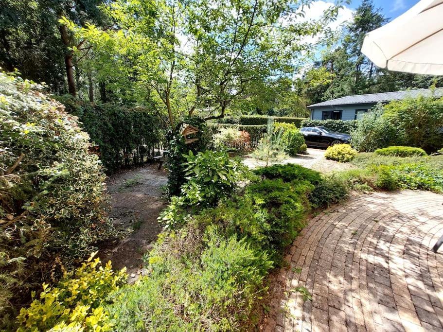 Heerlijk Chalet In Prachtige Natuur. Doornspijk Exteriör bild
