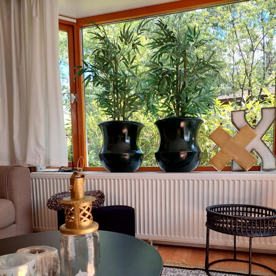 Heerlijk Chalet In Prachtige Natuur. Doornspijk Exteriör bild